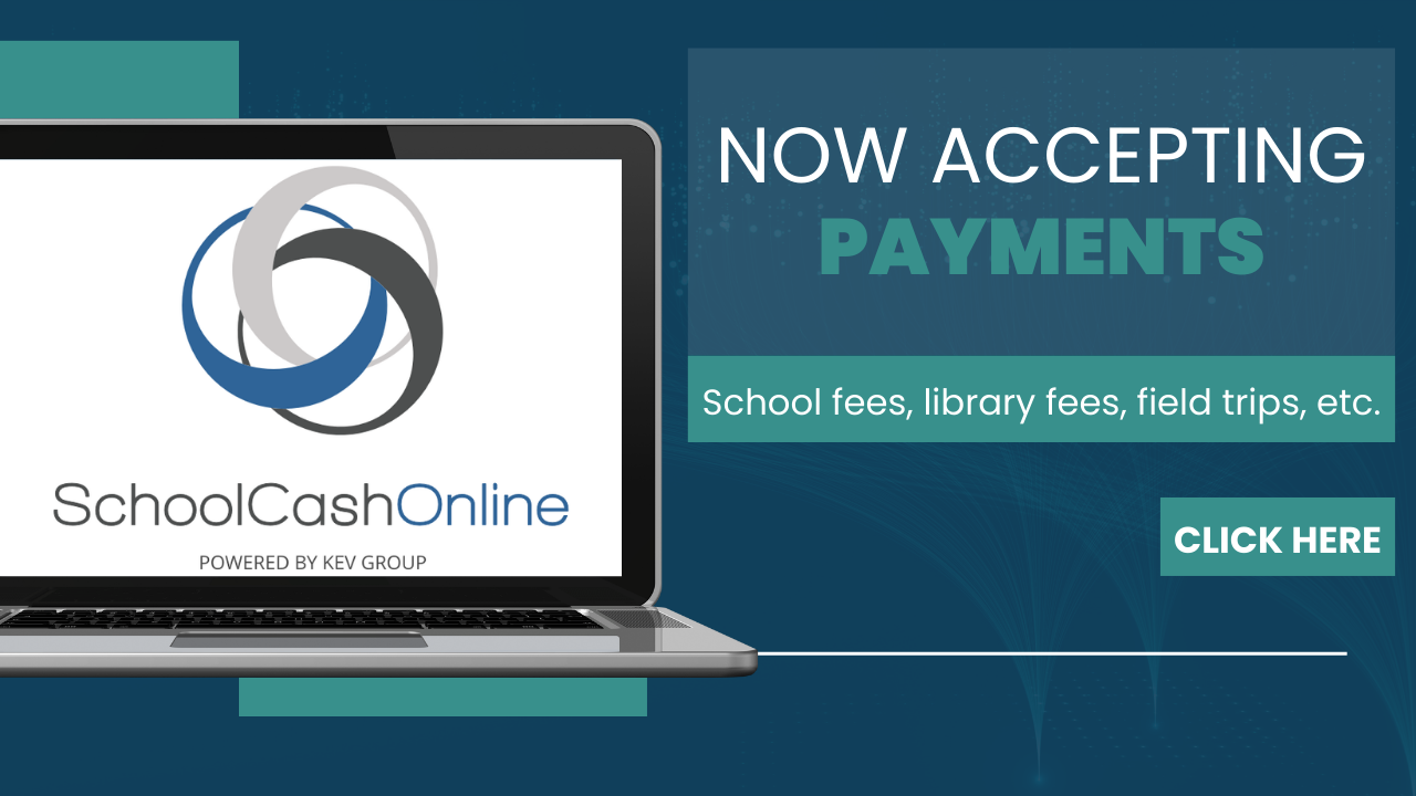  Online Payments